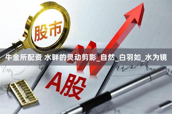 牛金所配资 水畔的灵动剪影_自然_白羽如_水为镜